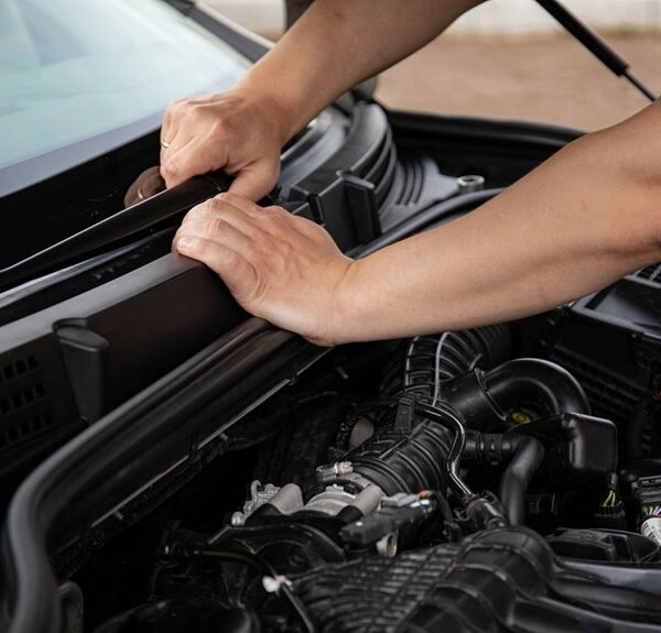 Reliable Digital Services 653481776 Performance